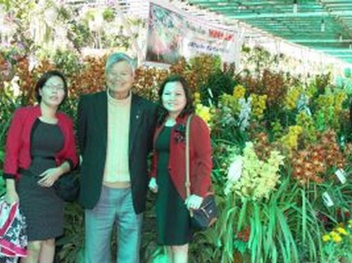 Ánh sáng cho Hồ điệp