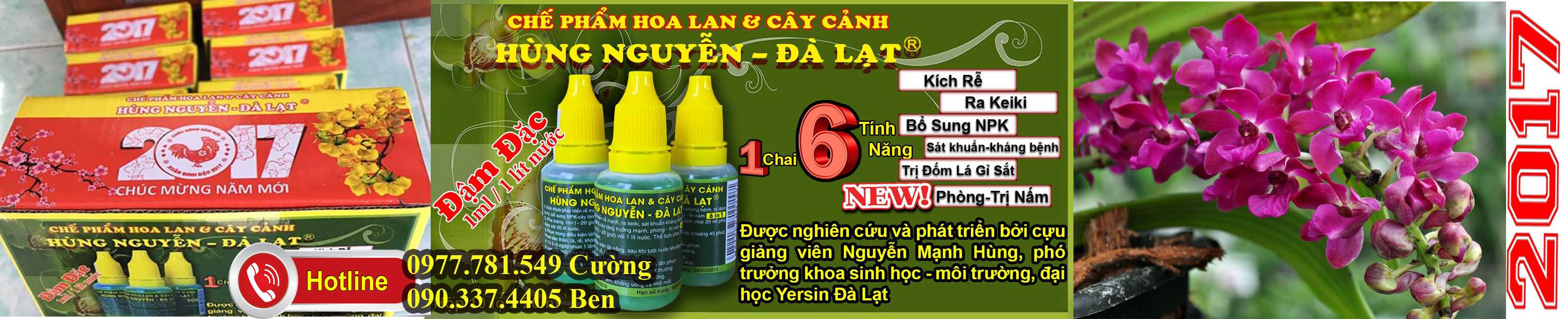 DÂN CHƠI LAN