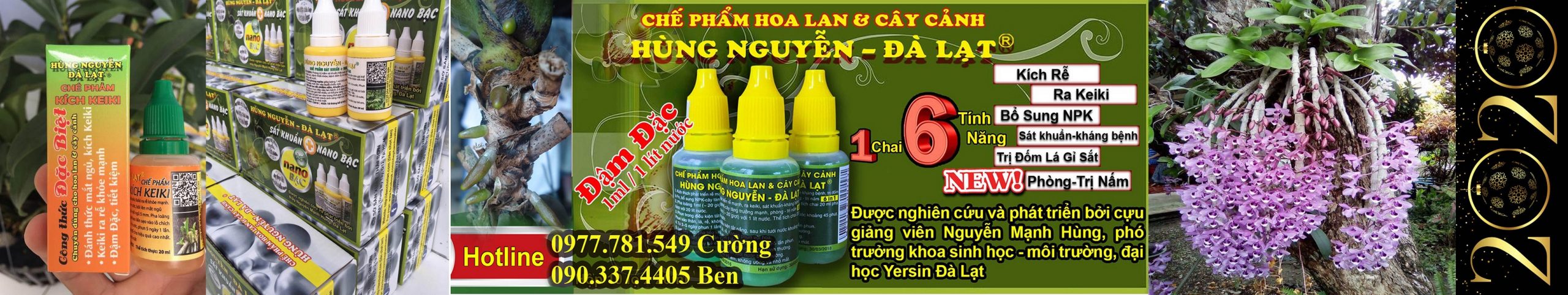 DÂN CHƠI LAN